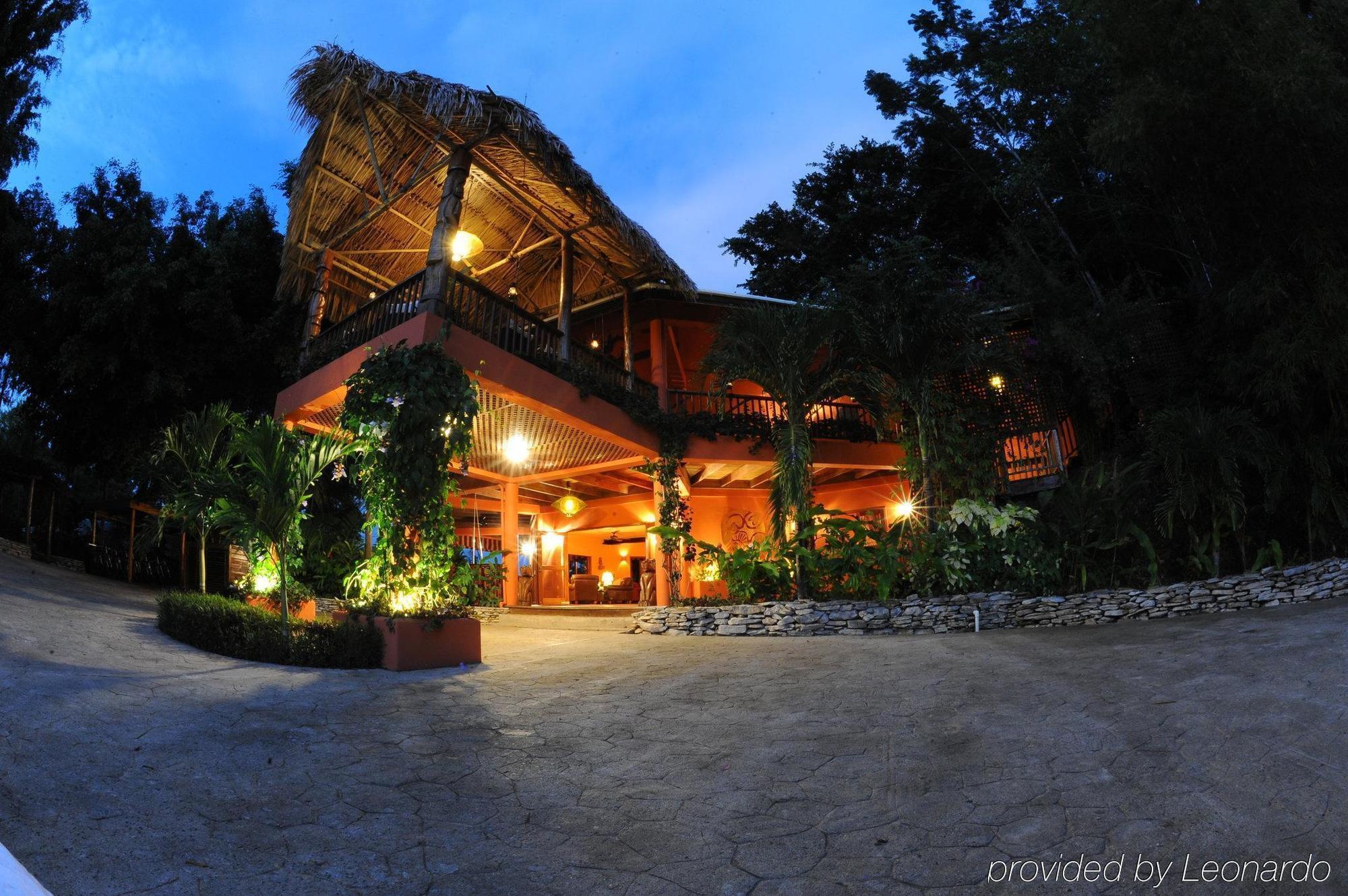 Machaca Hill Rainforest Canopy Lodge Punta Gorda Extérieur photo