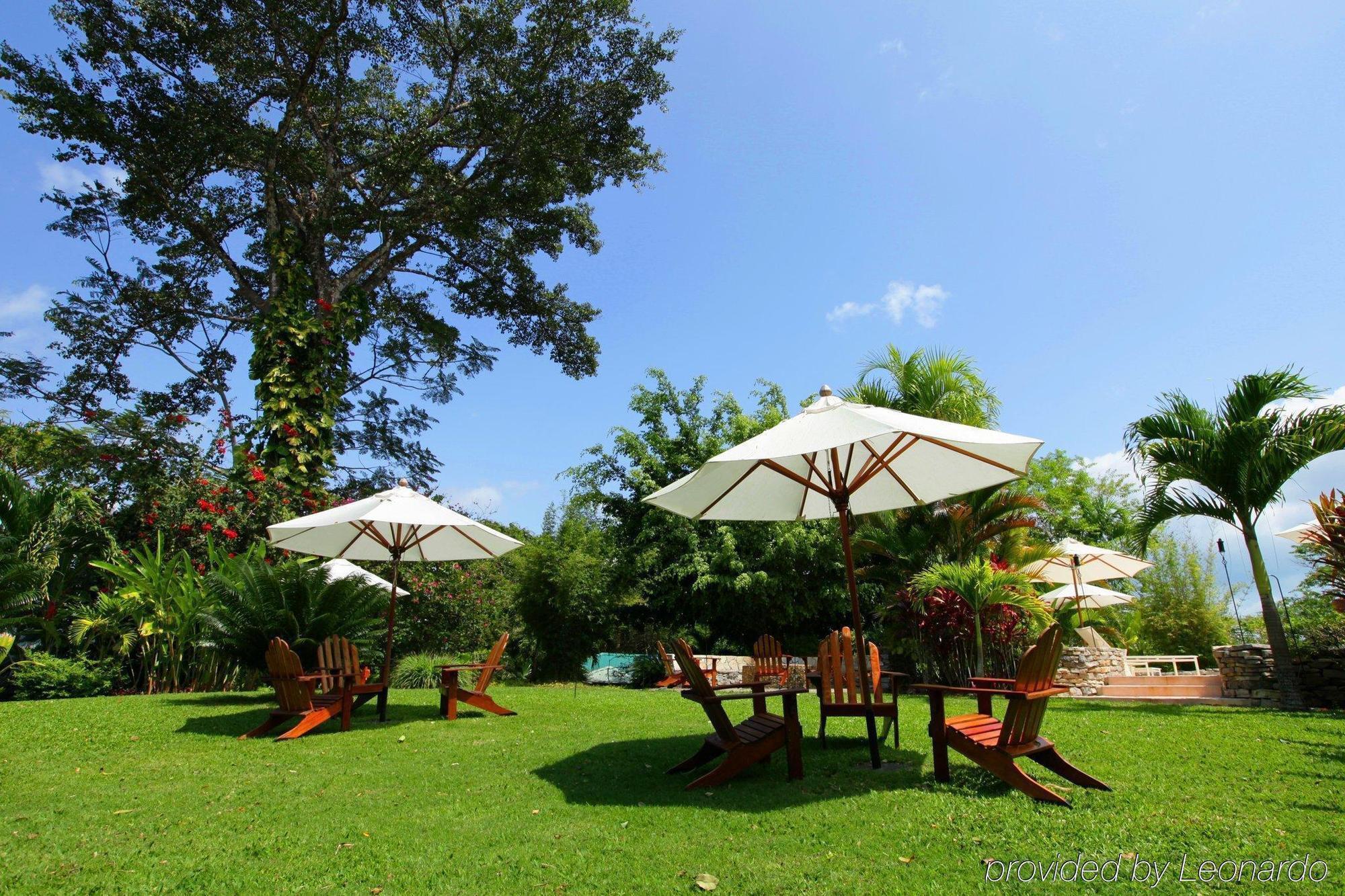 Machaca Hill Rainforest Canopy Lodge Punta Gorda Extérieur photo