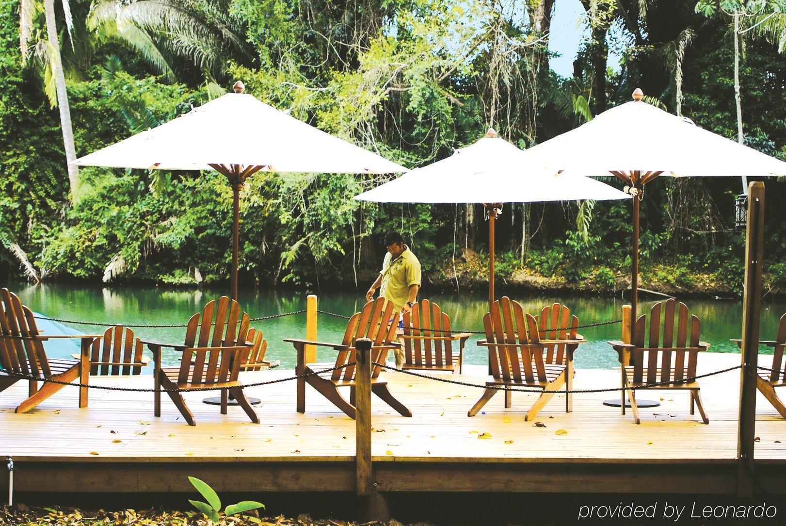 Machaca Hill Rainforest Canopy Lodge Punta Gorda Extérieur photo