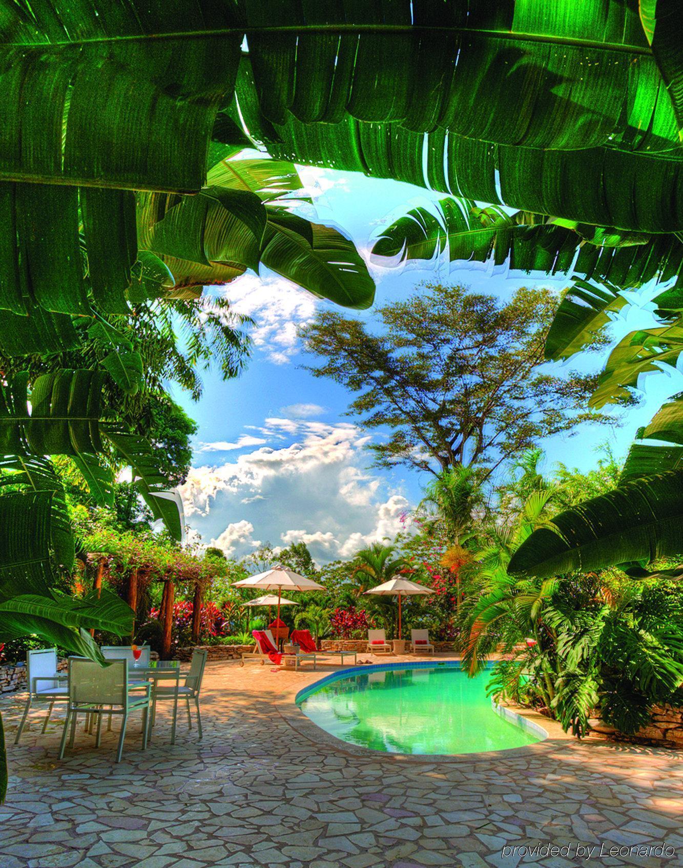 Machaca Hill Rainforest Canopy Lodge Punta Gorda Extérieur photo