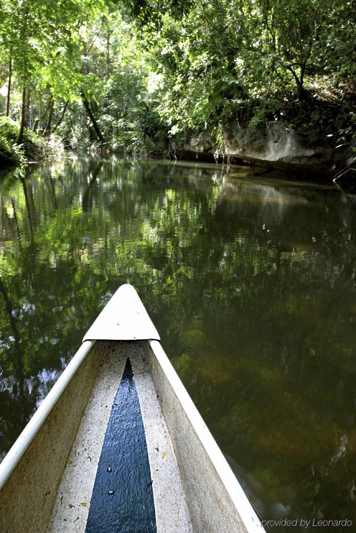 Machaca Hill Rainforest Canopy Lodge Punta Gorda Extérieur photo