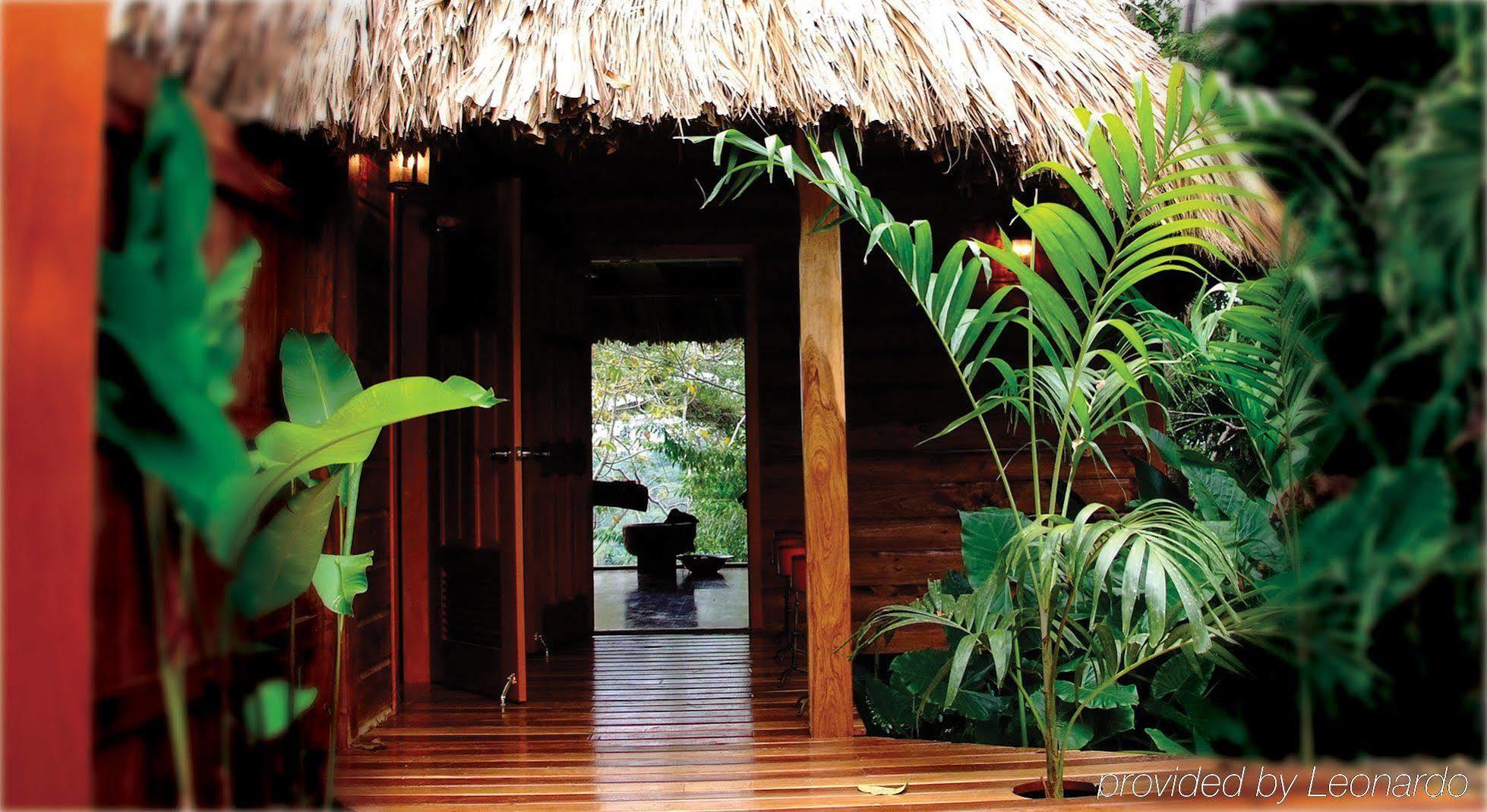 Machaca Hill Rainforest Canopy Lodge Punta Gorda Extérieur photo