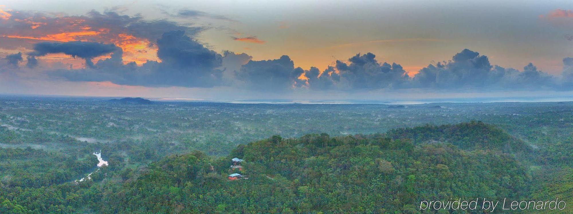 Machaca Hill Rainforest Canopy Lodge Punta Gorda Extérieur photo